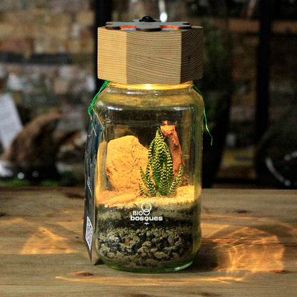 Desierto L - Tapa 3D