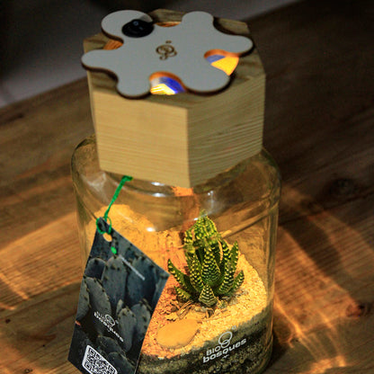 Desierto L - Tapa 3D