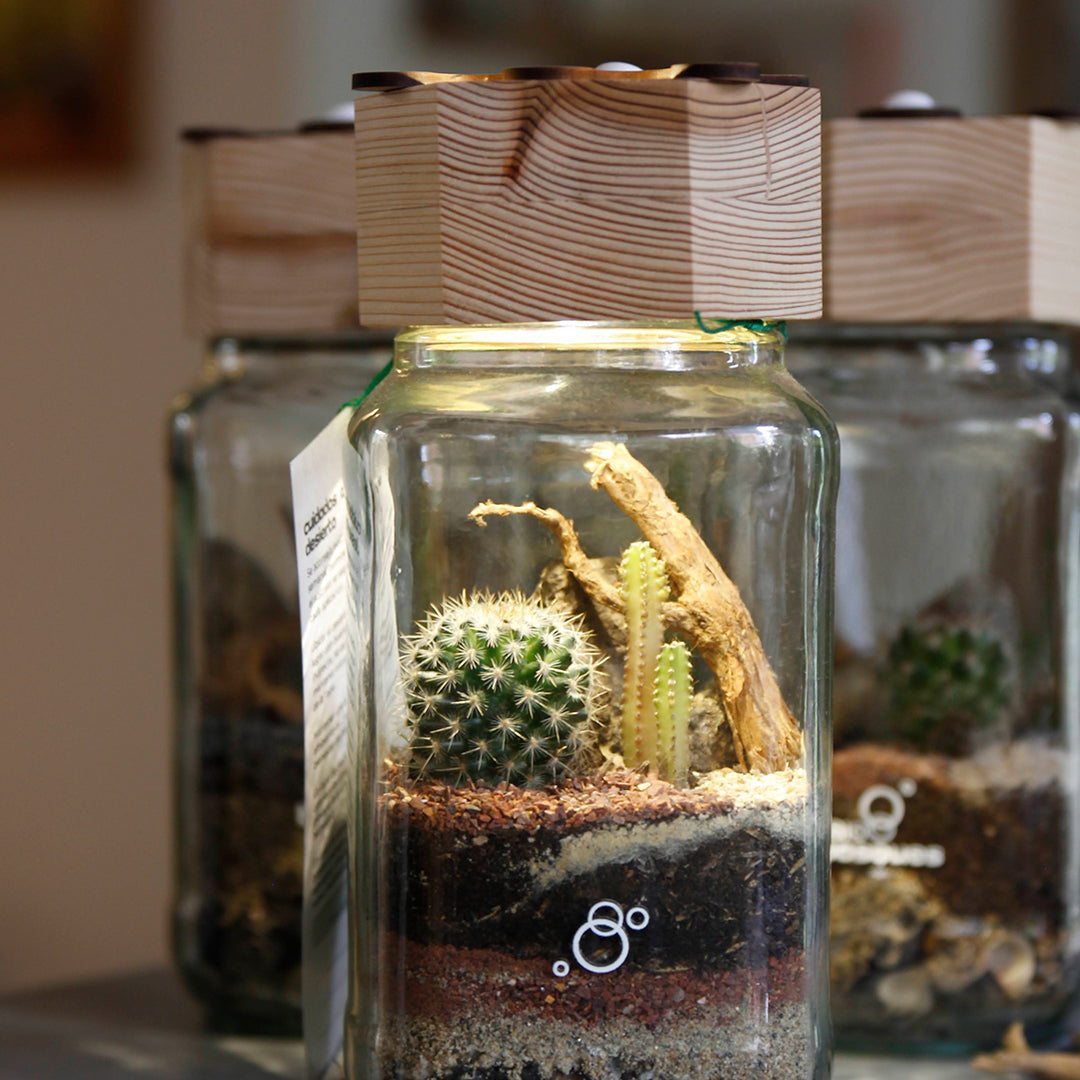 Desierto L - Tapa 3D