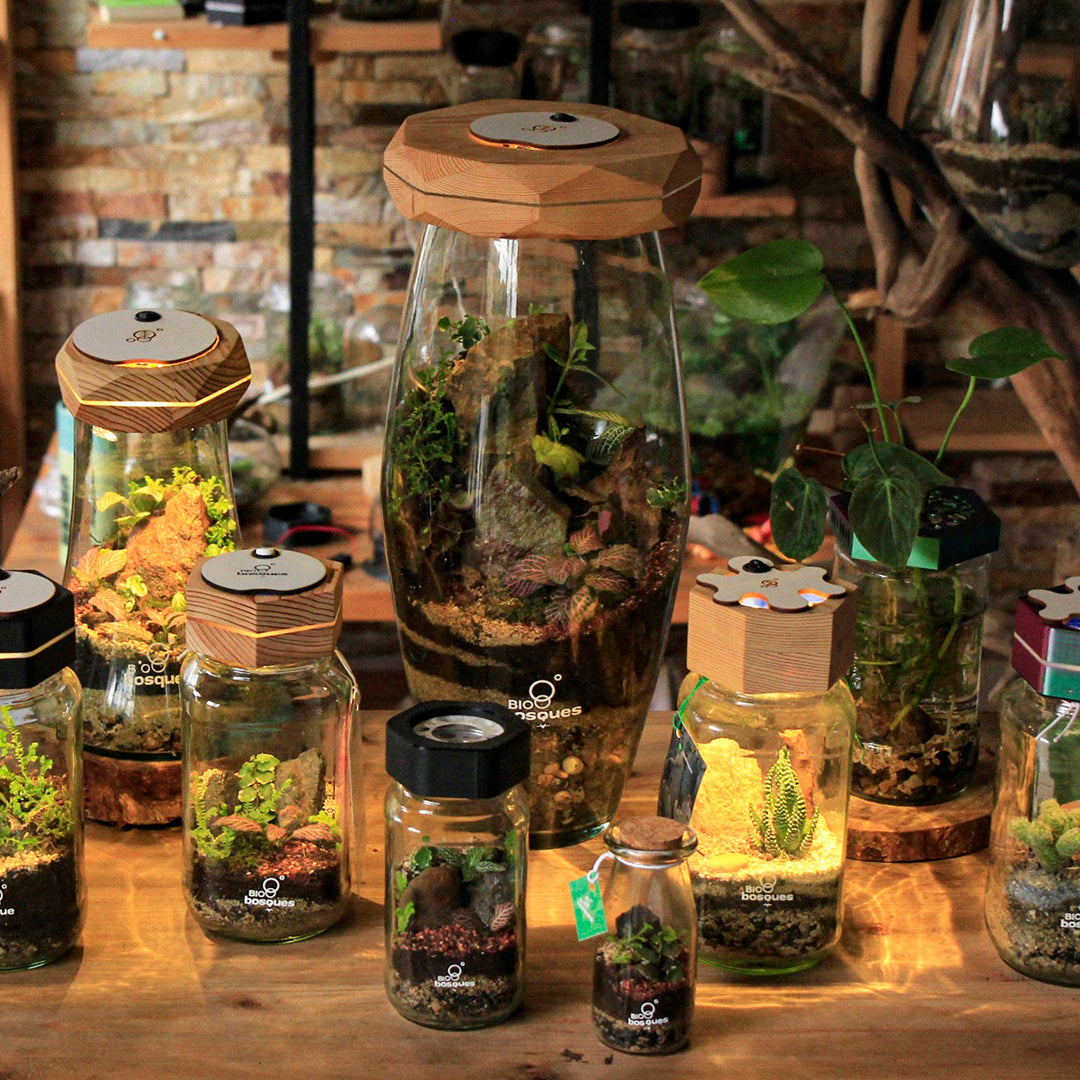 Bosque XXXL - Tapa 3D