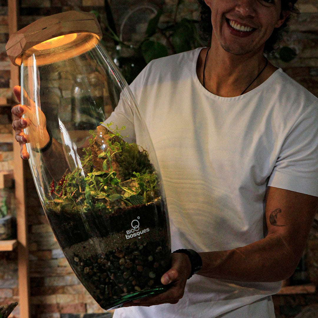 Bosque XXXL - Tapa 3D