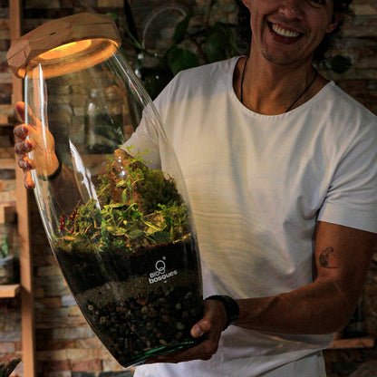 Bosque XXXL - Tapa 3D